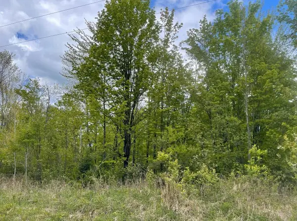 ON Weinberger Rd #30 Acres, Butternut, WI 54514