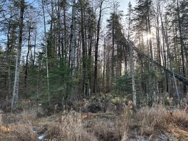 0 Black Alder Dr, Merrill, WI 54452