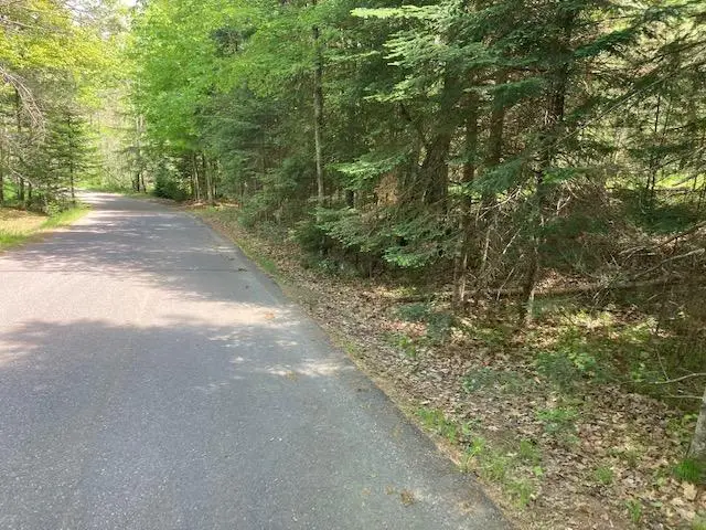 HA98-5 Stone Field Rd, Hazelhurst, WI 54531 - Image #1