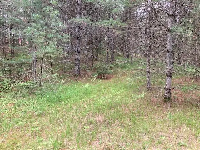 HA98-5 Stone Field Rd, Hazelhurst, WI 54531 - Image #2