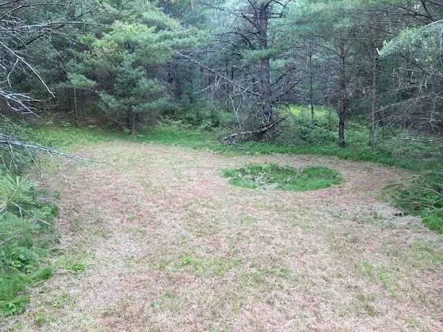 HA98-5 Stone Field Rd, Hazelhurst, WI 54531 - Image #3