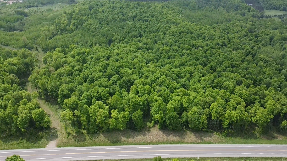 Lot 4 Hwy 70, Tipler, WI 54542 - Image #1