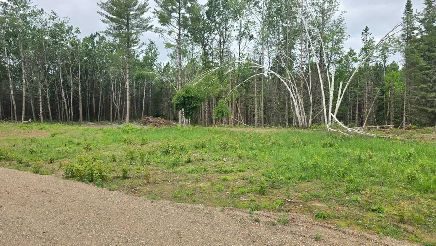 ON Cth B #2 Acres, Summit Lake, WI 54485 - Image #3