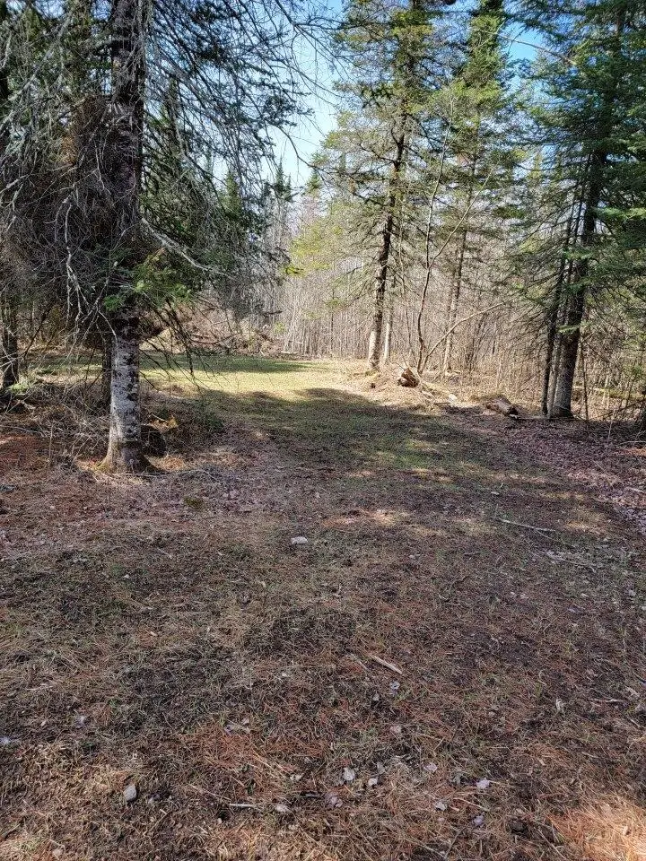 ON Luds Ln, Loretta, WI 54896 - #1