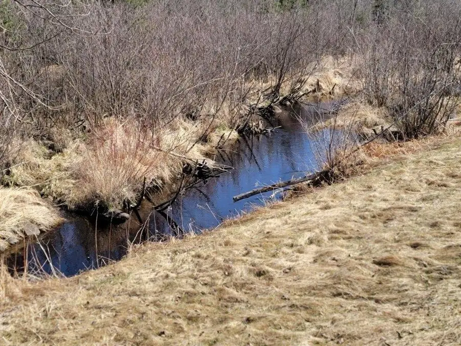 ON Luds Ln, Loretta, WI 54896 - #2