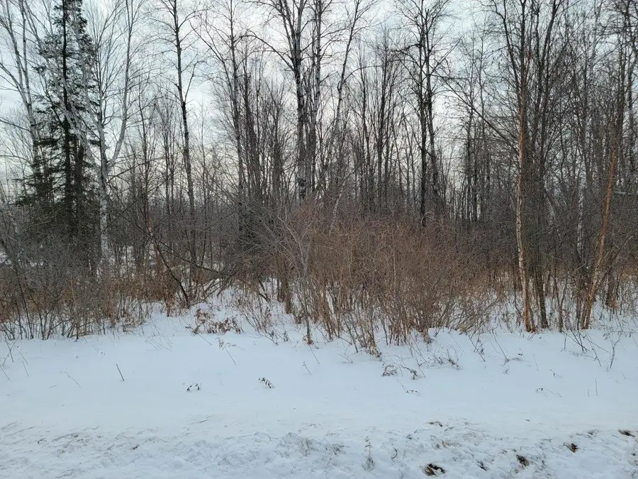 off Weirgor Rd #5 Acres, Radisson Town, WI 54835 - Image #2