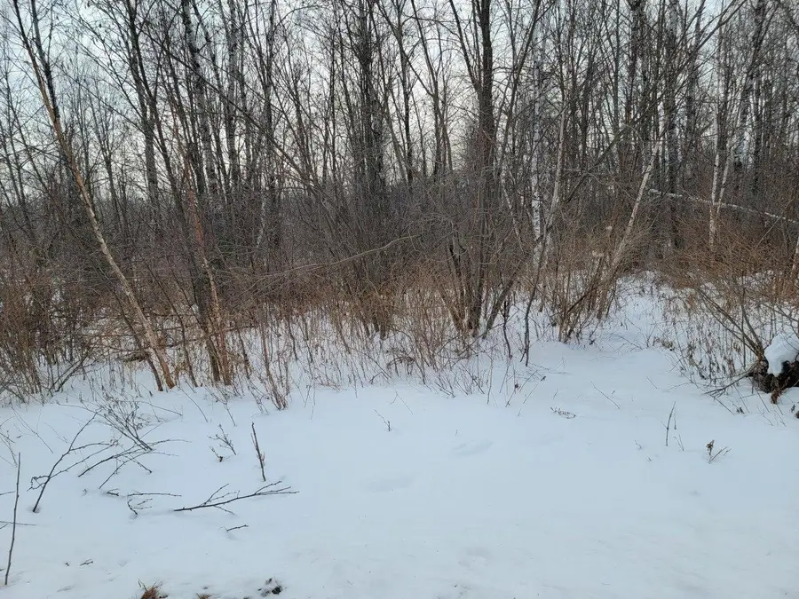 off Weirgor Rd #5 Acres, Radisson Town, WI 54835 - Image #3