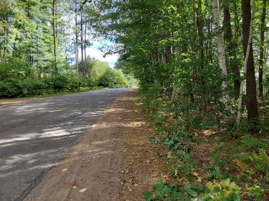 LOT 1 Curtis Lake Dr, Minocqua, WI 54548 - #3
