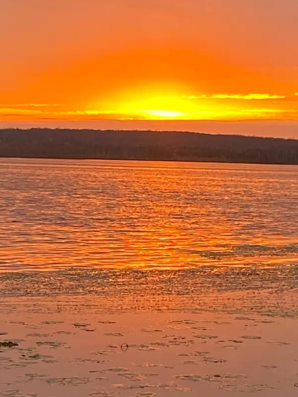 N11415 Shore Rd E, Pearson, WI 54462