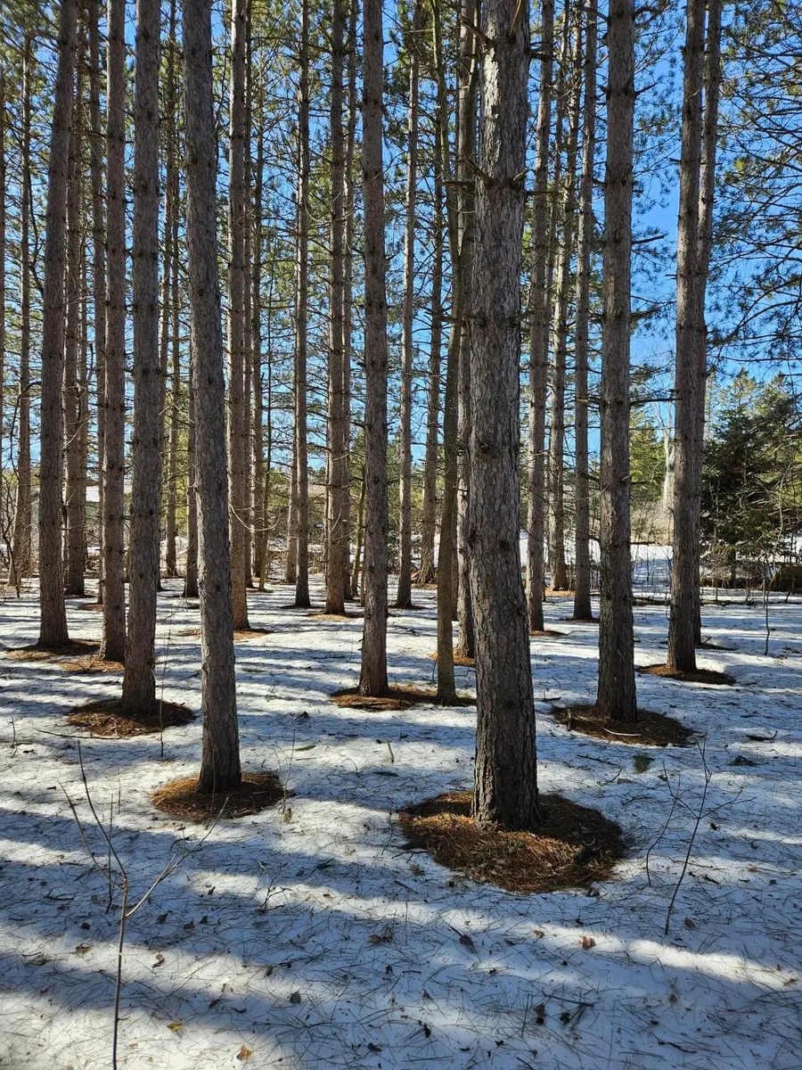 TBD Storm Watch Dr, Bessemer, MI 49911 - Image #2