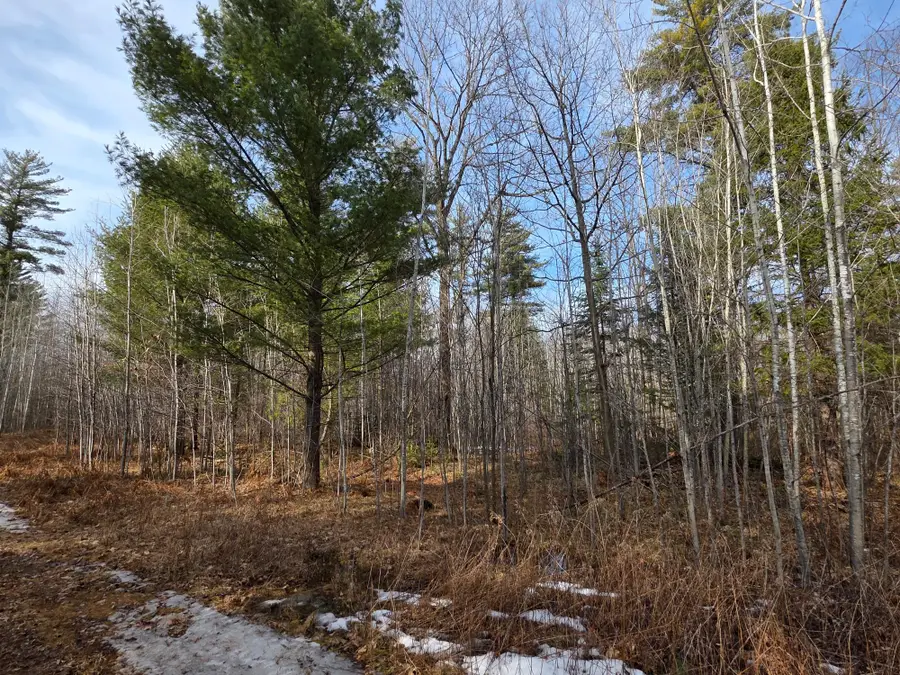 ON Herb Mitchell Rd, Irma, WI 54442 - Image #2