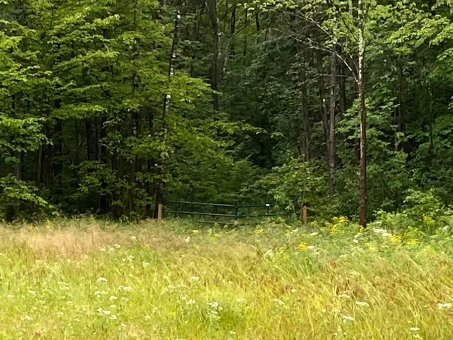 ON Hagar City Rd, Merrill, WI 54452 - Image #2