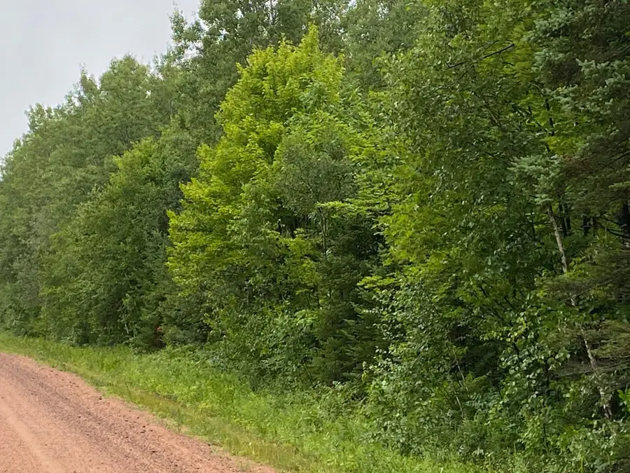 ON Hagar City Rd, Merrill, WI 54452 - Image #3