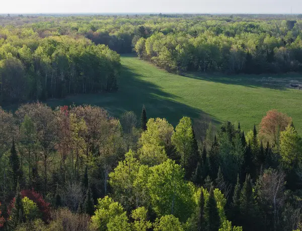 W1982 Brantwood Ave, Brantwood, WI 54513