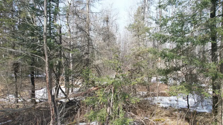 NEAR Creek Rd, Armstrong Creek, WI 54103 - Image #3