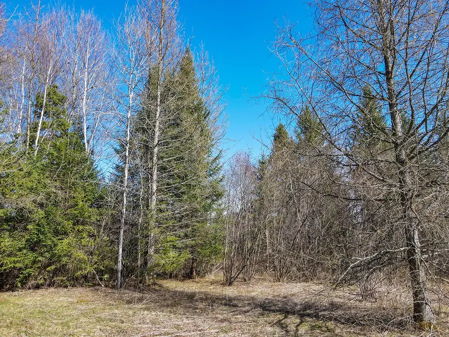 100 Ac Cth E, Tomahawk, WI 54487 - Image #2