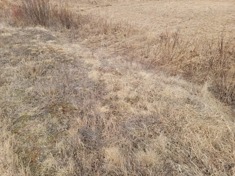 ON Townline Rd, Ojibwa, WI 54862 - Image #3