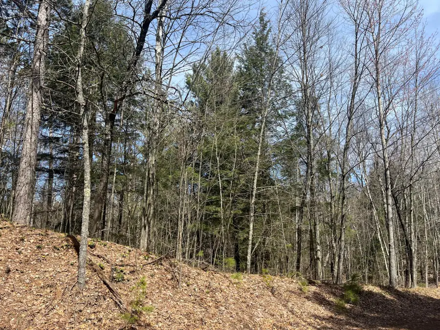 Off Aspen Ln #Lot 5, Minocqua, WI 54548 - #3