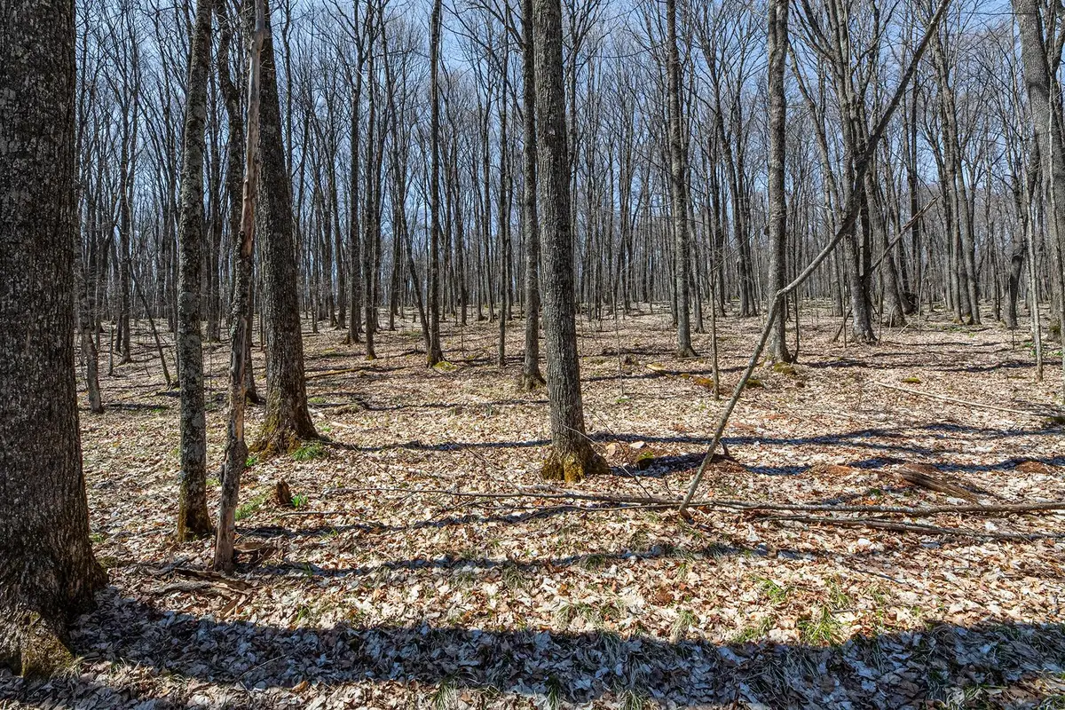 Lot 13 Red Fox Rd, Presque Isle, WI 54557 - Image #1