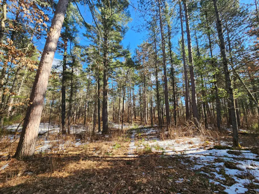 32 Acres Hwy 70, Saint Germain, WI 54558 - Image #2