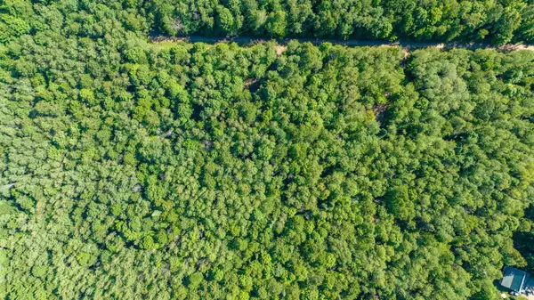 11142 Dream Lake Rd #Lots 2&3, Long Lake, WI 54542