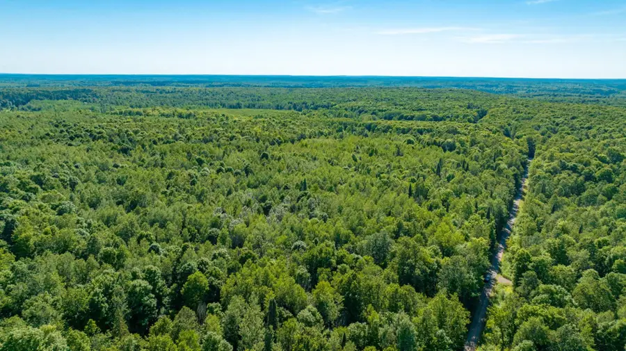 11142 Dream Lake Rd #Lots 2&3, Long Lake, WI 54542 - Image #3