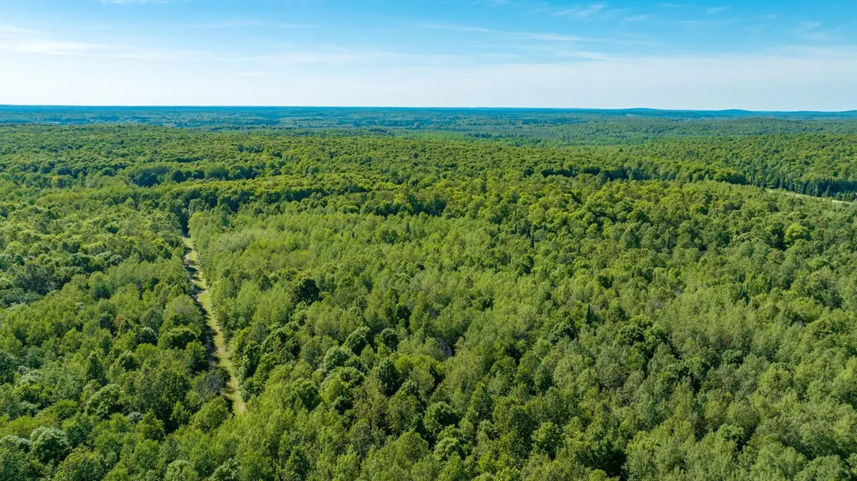 LOT 7 Dream Lake Rd, Long Lake, WI 54542 - Image #1