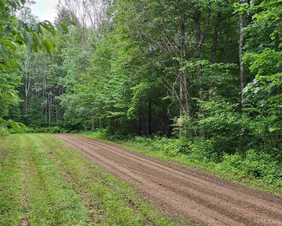 TBD Dream Lake Rd #Lot 2, Long Lake, WI 54542 - Image #3