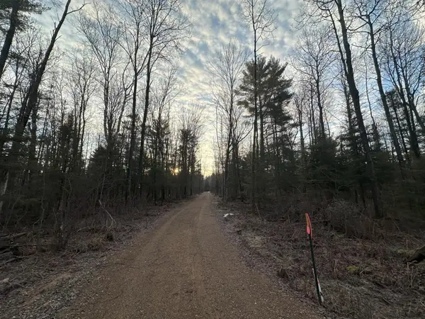 4073 Buckatabon Rd E, Conover, WI 54519