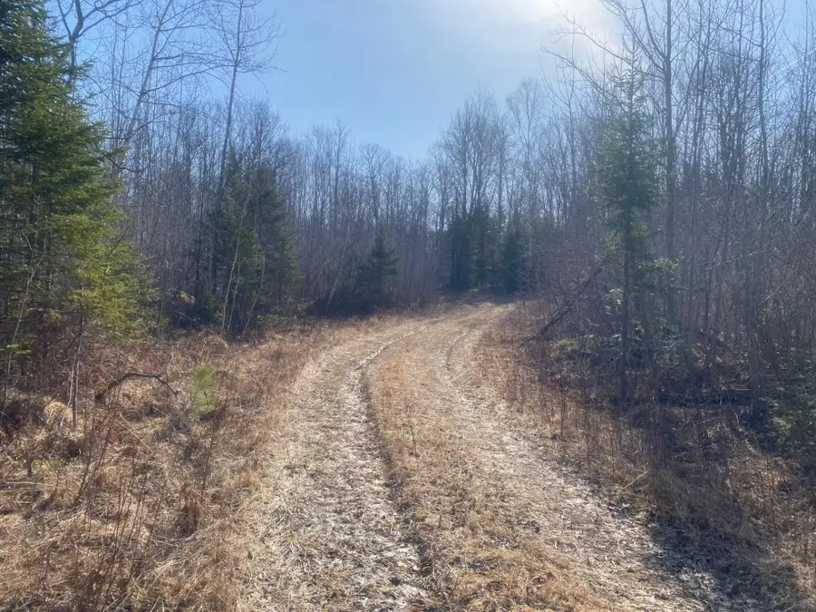 ON Buckhorn Rd, Park Falls, WI 54552 - Image #2