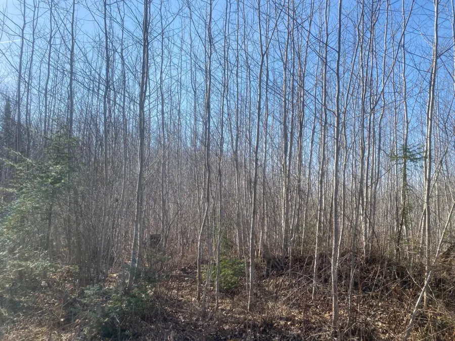 ON Buckhorn Rd, Park Falls, WI 54552 - Image #3