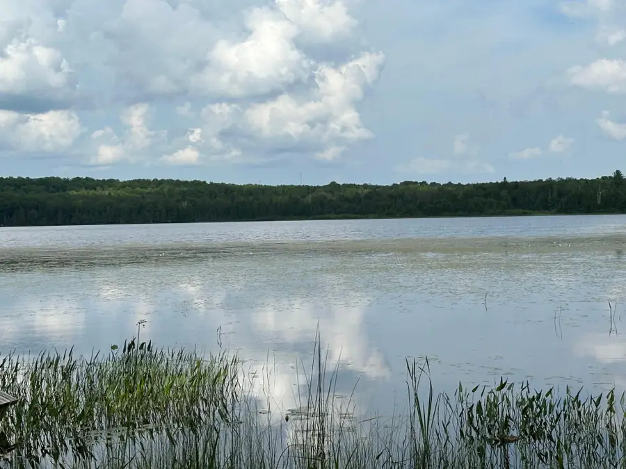 Off Forest Rd 8300, Marenisco, MI 49947 - Image #2