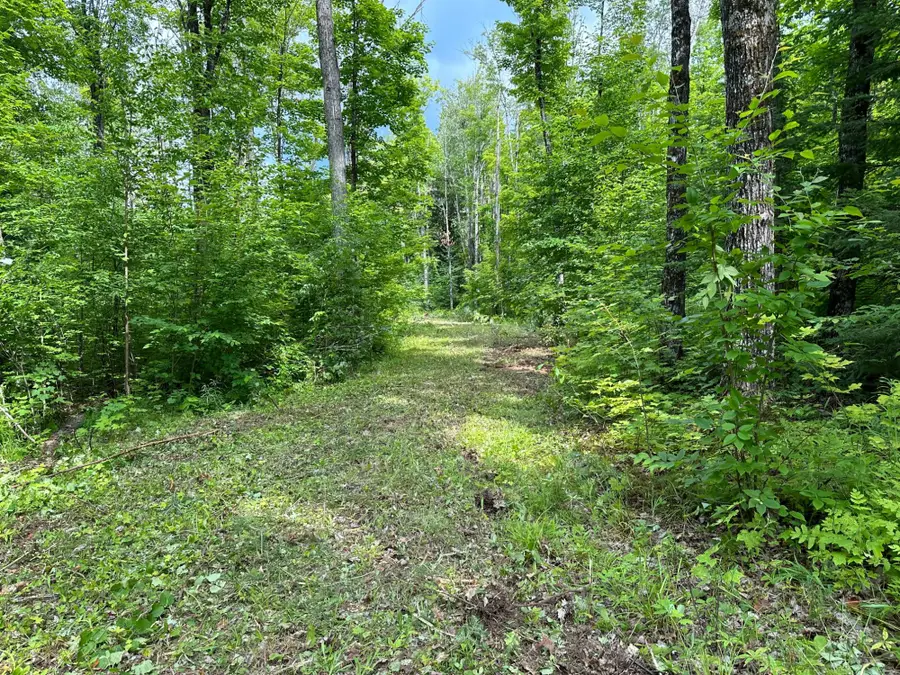 Off Forest Rd 8300, Marenisco, MI 49947 - Image #3