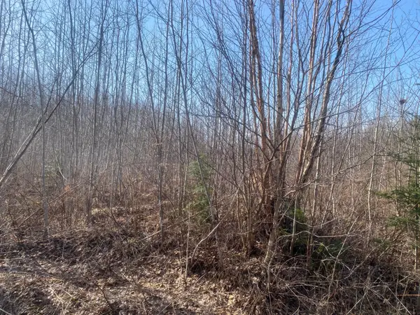 NEAR Bass Lake Rd, Park Falls, WI 54552