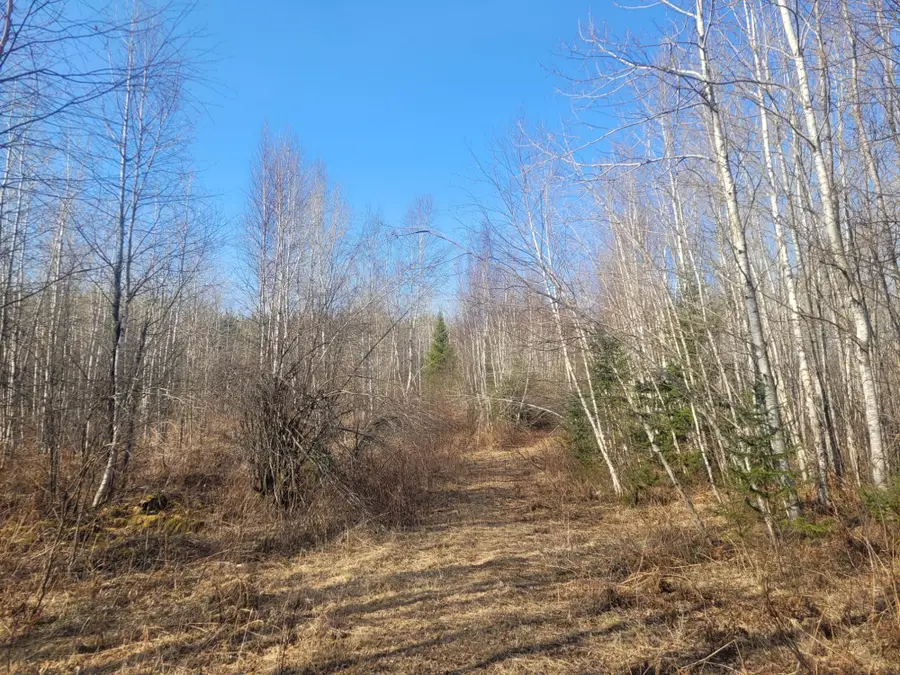 NEAR Knowles Rd, Winter, WI 54896 - Image #2