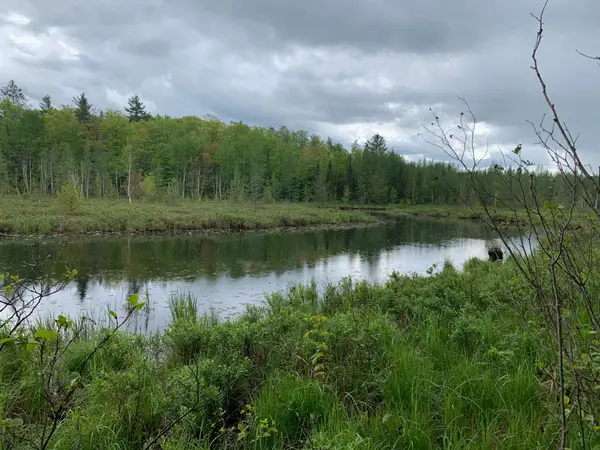 ON Bear Tail Pt, Phelps, WI 54554