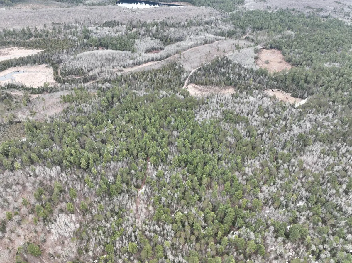 7685 Old B Rd, Land O Lakes, WI 54540 - Image #1