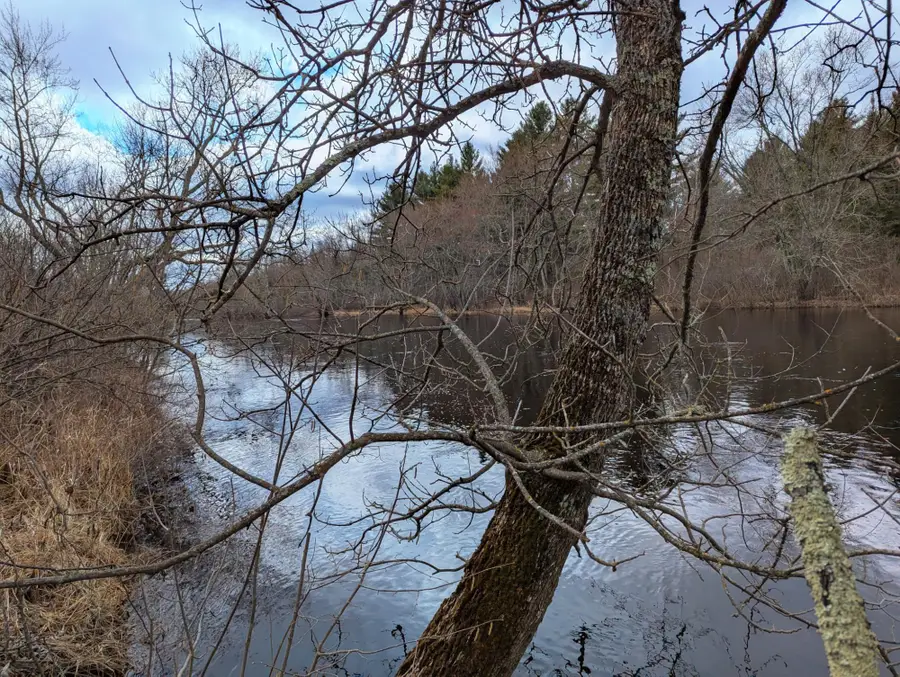 Off Cth S, Phillips, WI 54555 - Image #2