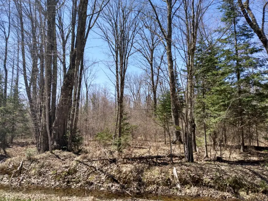 ON Peterson Rd, Gleason, WI 54435 - Image #3