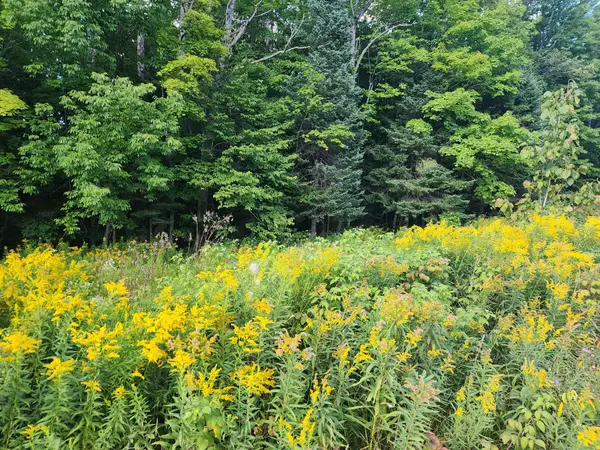 ON East Ln, Crandon, WI 54520