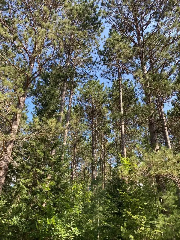 ON Central Ave W #Tract 2037, Brantwood, WI 54513