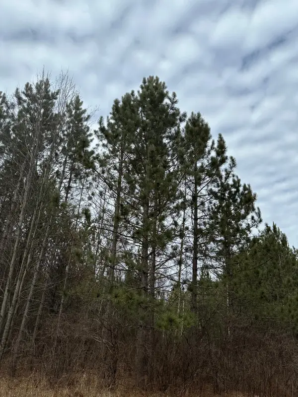 ON Cth G #Tract 2062, Rhinelander, WI 54457