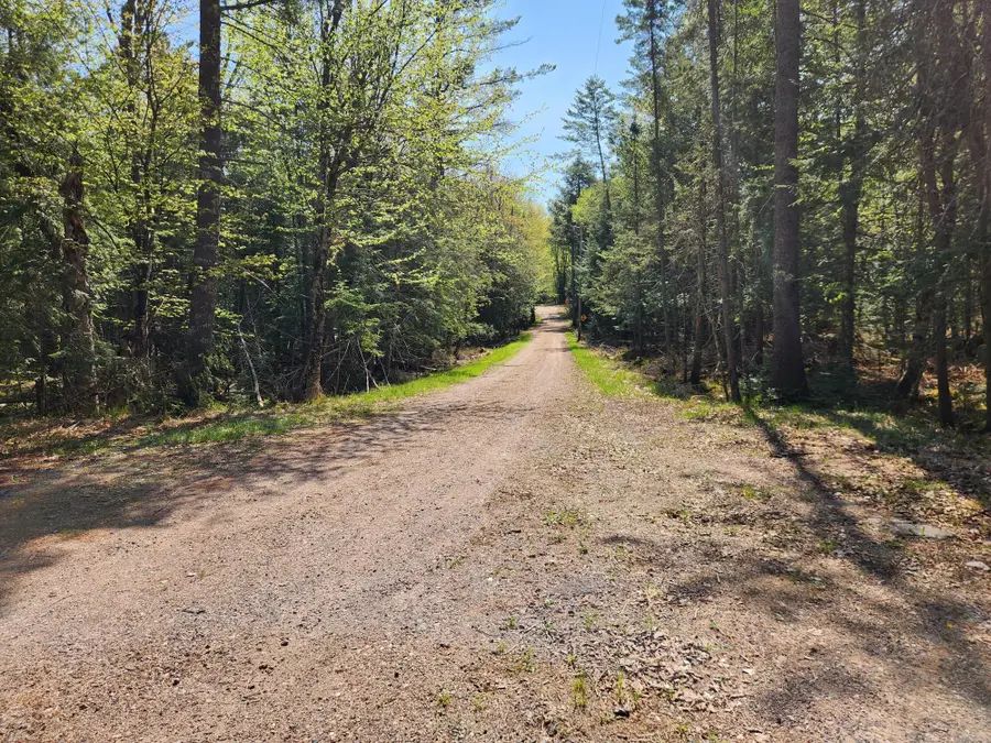 12450 Nixon Rd, Minocqua, WI 54548 - Image #3