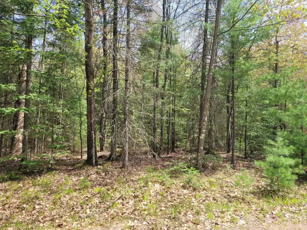Lot #6 Boardwalk Dr, Sugar Camp, WI 54521