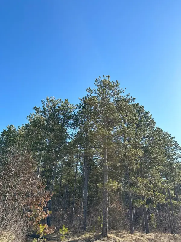 ON Spring Creek Dr #4080-4, Tomahawk, WI 54487