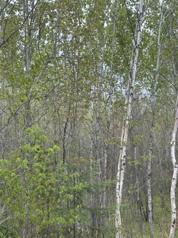 ON Long Shot Ln #4093-A, Minocqua, WI 54548