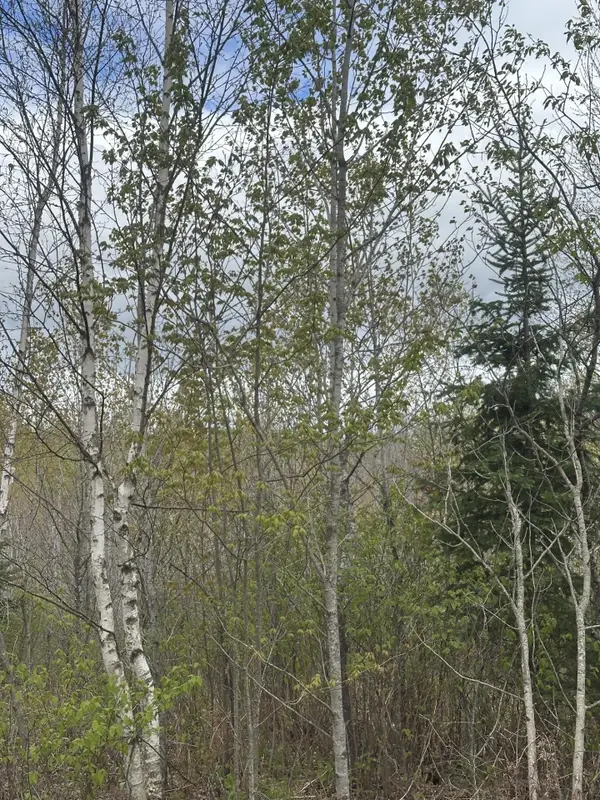 NEAR Camp Nine Rd #4093-C, Minocqua, WI 54548