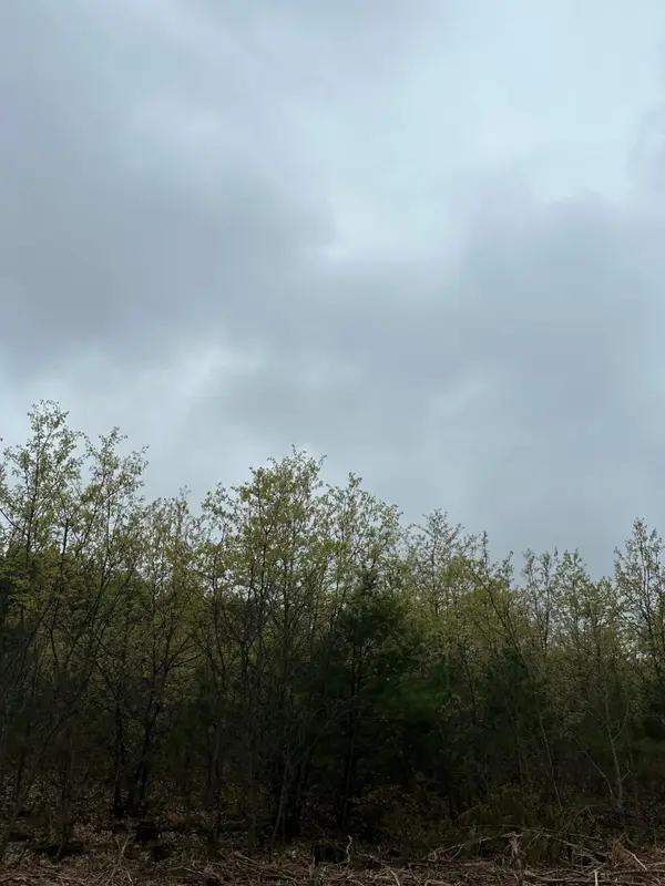 ON Cth Y #Lot 8, Tomahawk, WI 54487