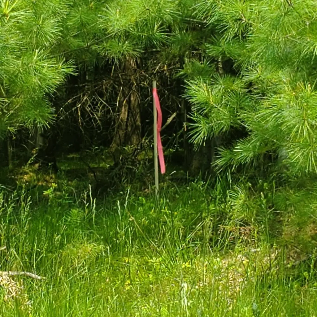 Off Cth J, Woodruff, WI 54568 - Image #1