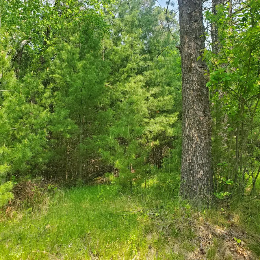 Off Cth J, Woodruff, WI 54568 - Image #3